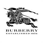 برندهای ویژه