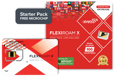 تراشه Flexiroam